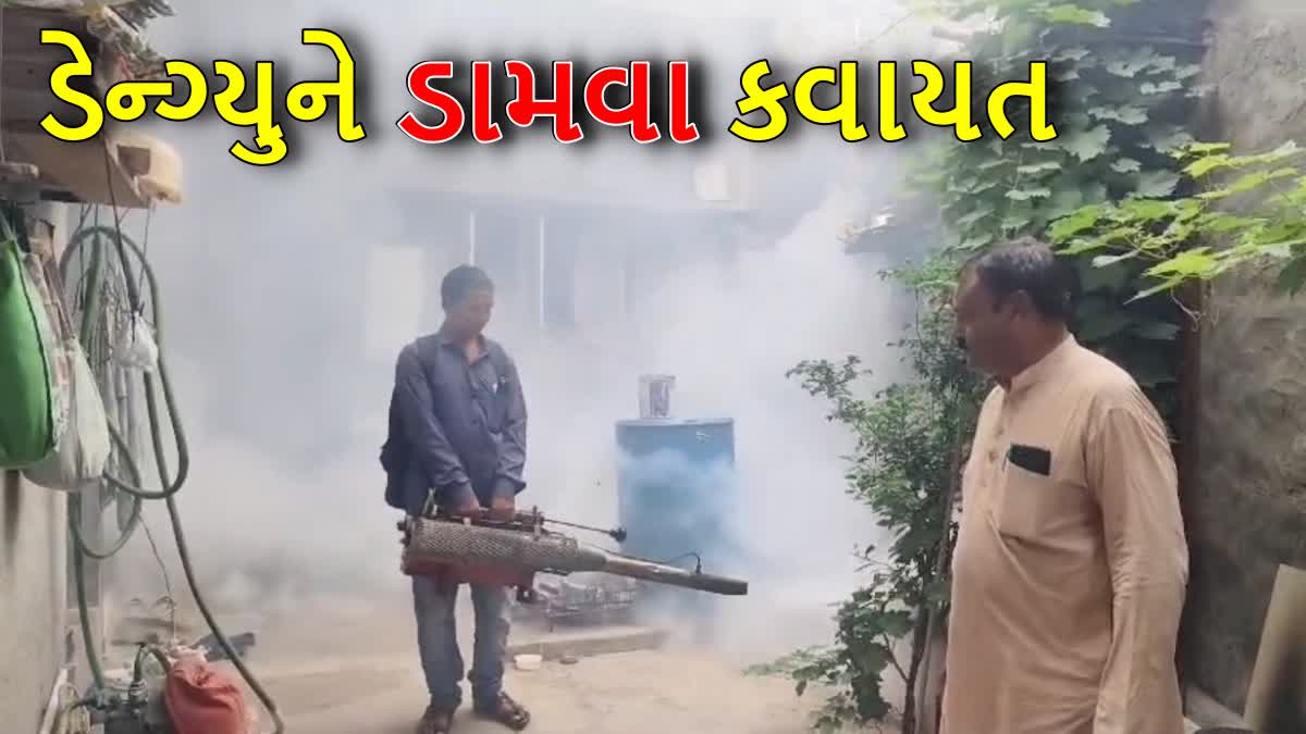 રાજકોટમાં ડેન્ગ્યુએ માથું ઉચક્યું