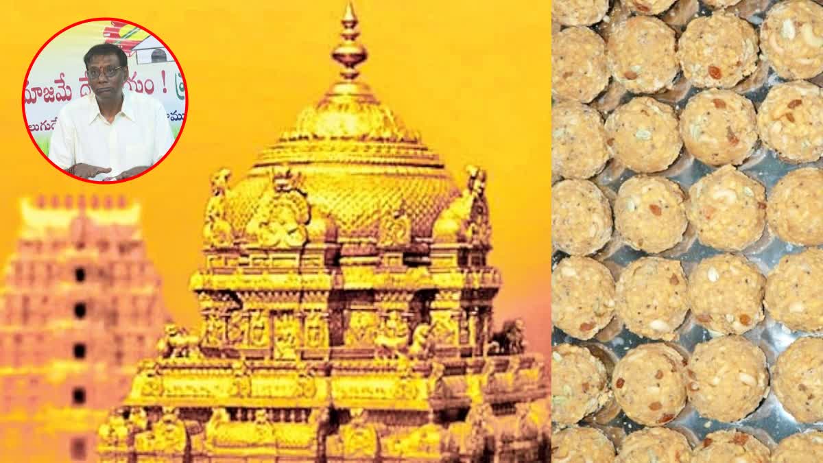 Tirumala Laddu Ghee Issue