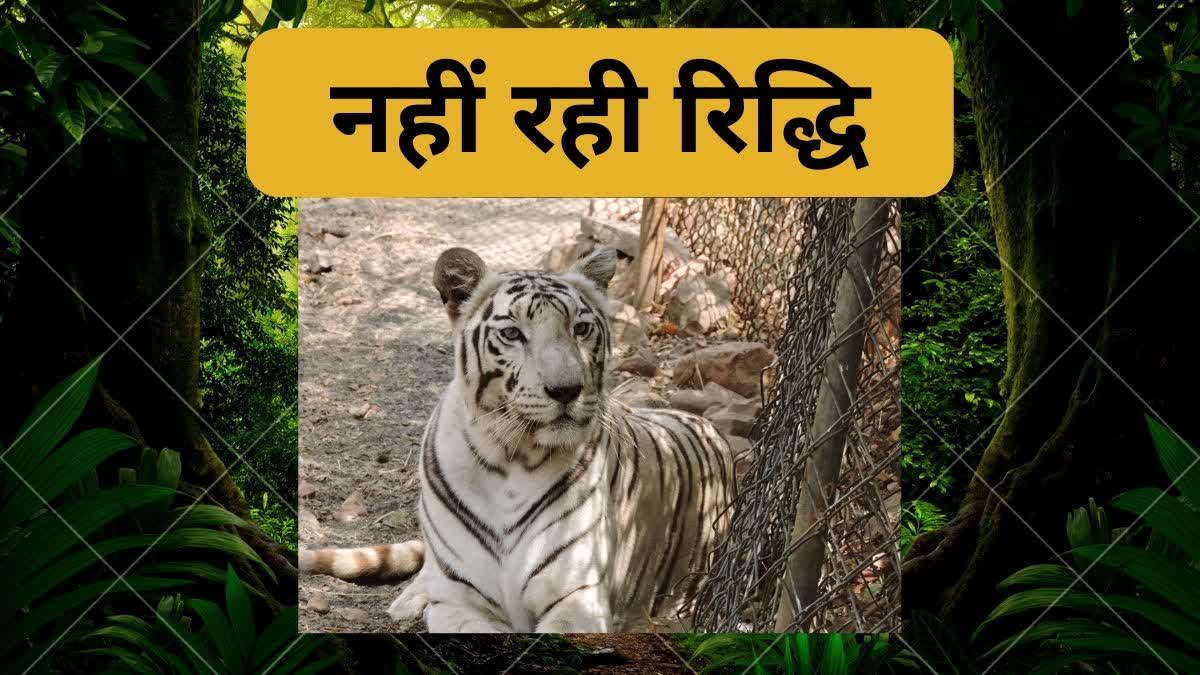 BHOPAL VAN VIHAR WHITE TIGRESS DIES