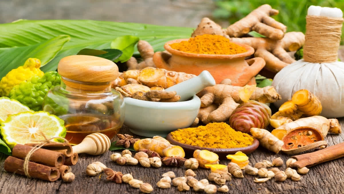 Ayurveda Gains Global Attention At World Food India 2024