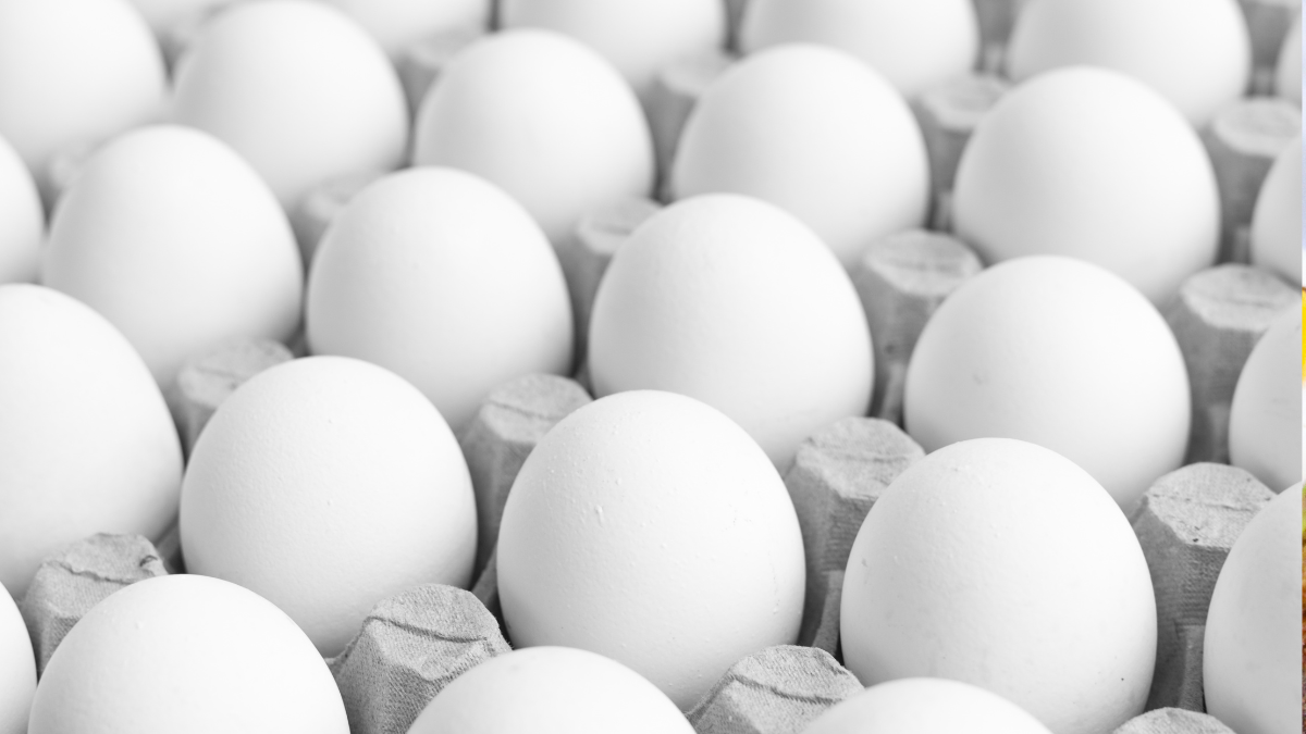 How many eggs a day is healthy