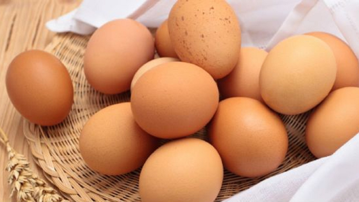 How many eggs a day is healthy