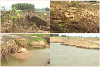 Crop Damage in Munneru Floods