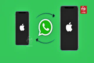 transfer old apple iphone whatsapp data to new iphone 16 article thumbnail