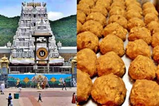 animal_fat_in_tirumala_laddu