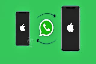 iPhone Whatsapp Backup