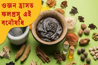 Powerful Ayurvedic Herbs For Weight Loss