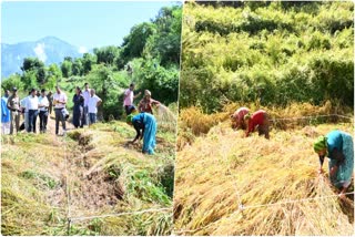 Pradhan Mantri Fasal Bima Yojana