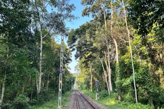 The railway track that passes through the Hollongapar Gibbon Wildlife Sanctury