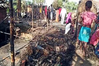 Bihar Police has arrested main accused in the Nawada Houses burning case