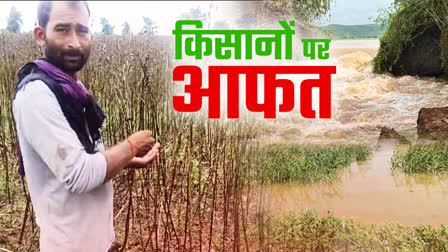 HEAVY RAINFALL SPOILED CROPS BUNDELKHAND