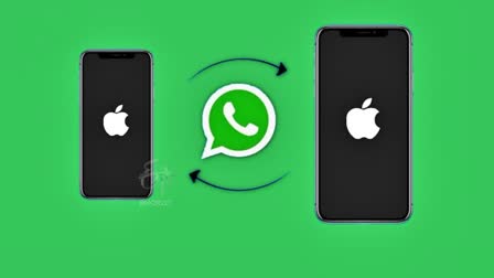 IPHONE WHATSAPP BACKUP  WHATSAPP BACKUP IN IPHONE  TRANSFER DATA FROM OLD IPHONE  IPHONE WHATSAPP DATA