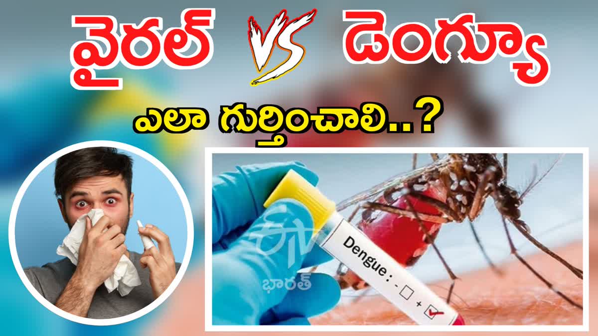 Dengue VS Viral Infection