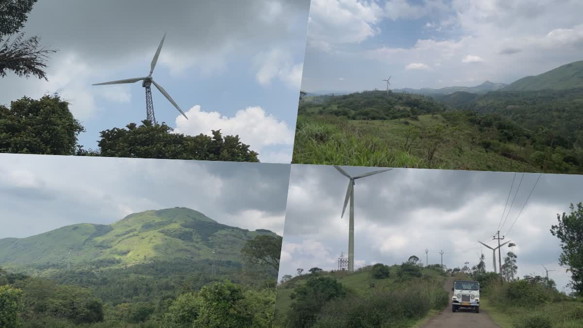 anakaramettu-pushpakandam-trekking-nedumkandam-tourism