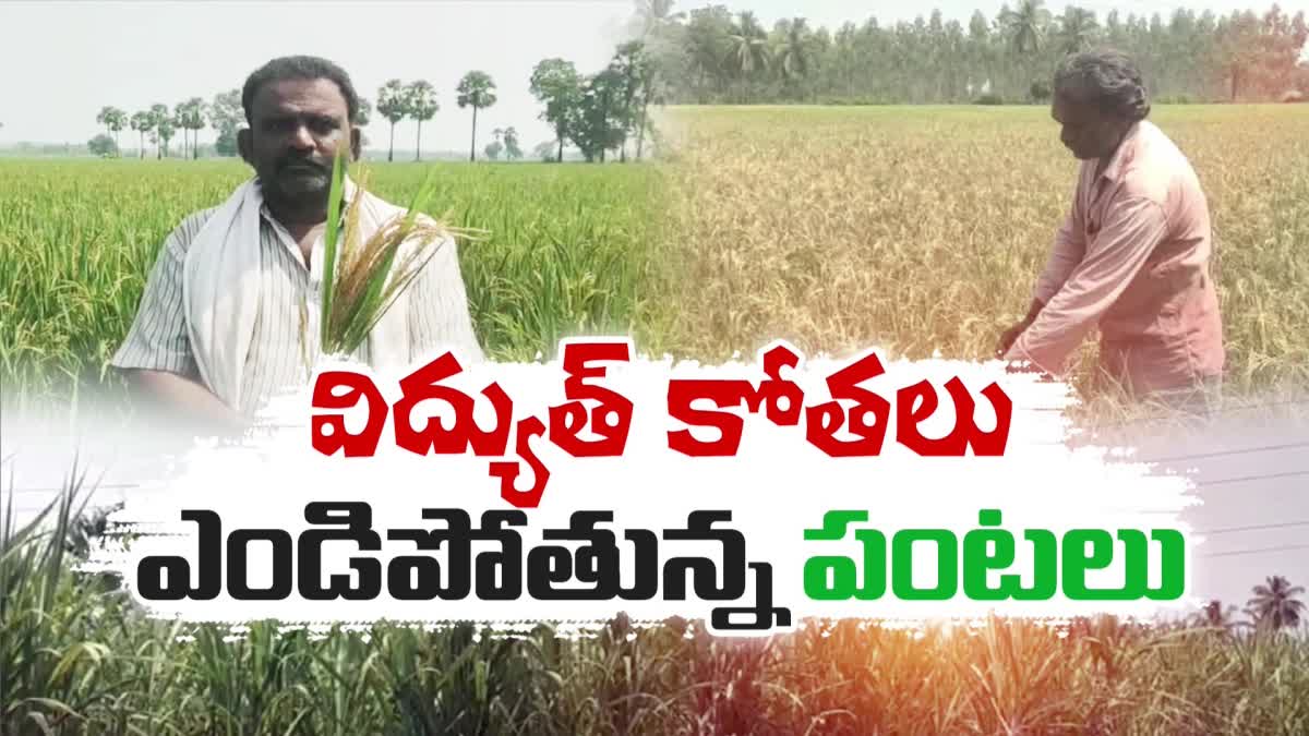 Farmers_Worried_on_Crops_Over_Power_Cuts_in_AP
