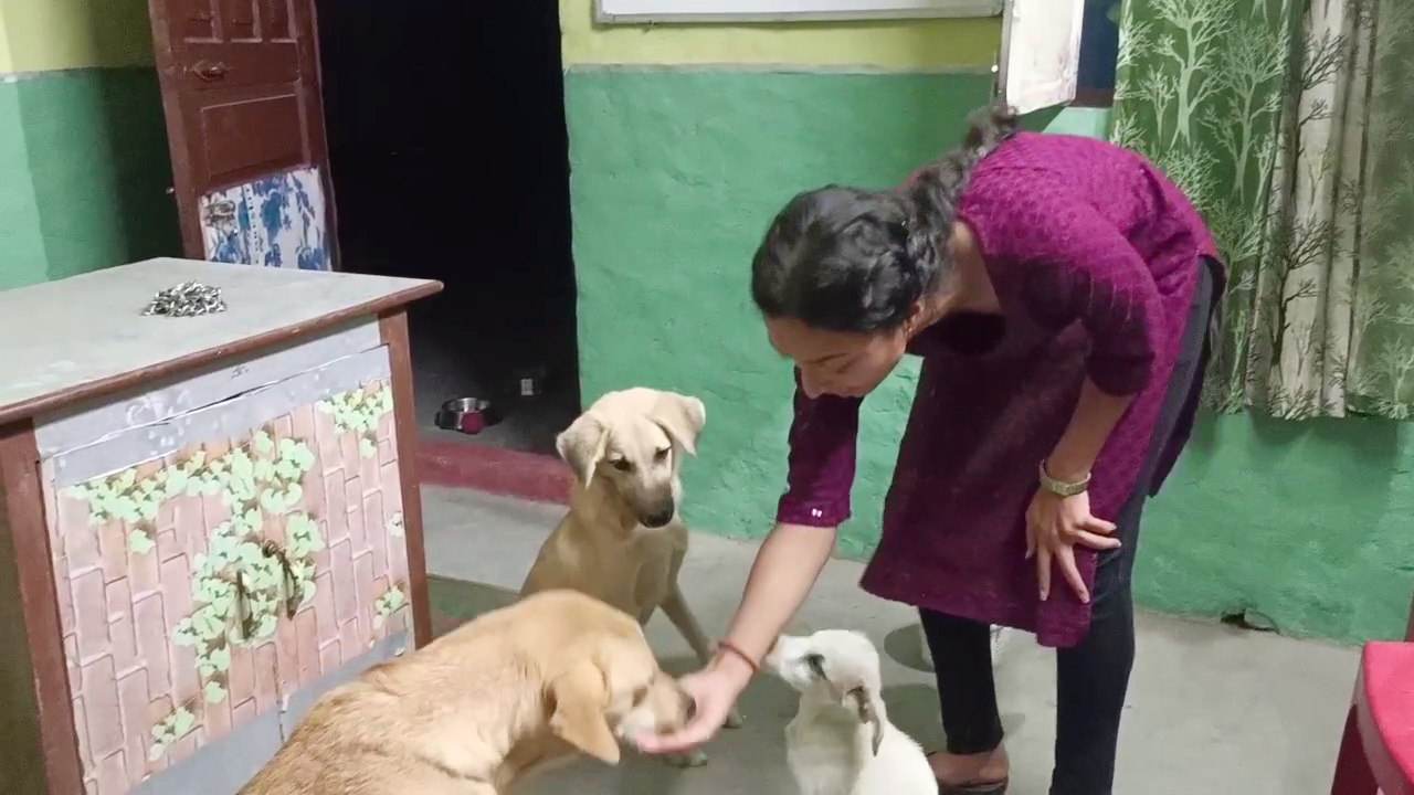 Khushi Nautiyal Doing Treatment of Stray Dogs