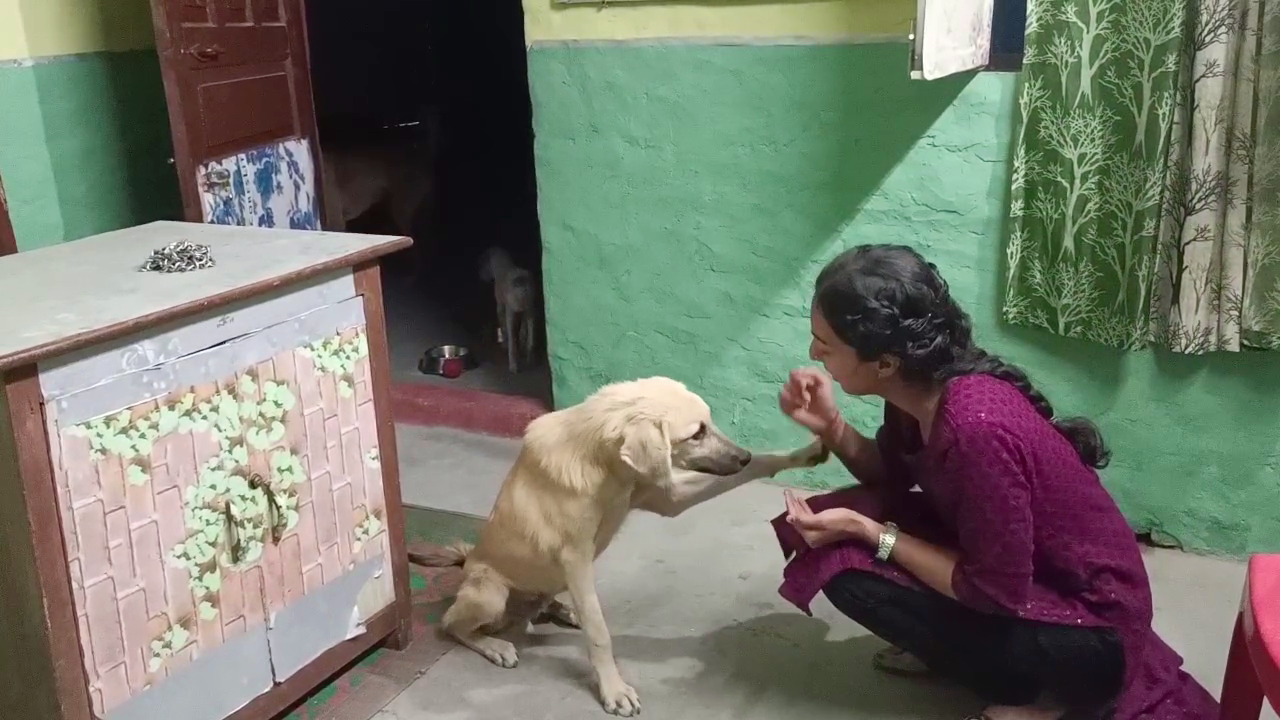 Khushi Nautiyal Doing Treatment of Stray Dogs