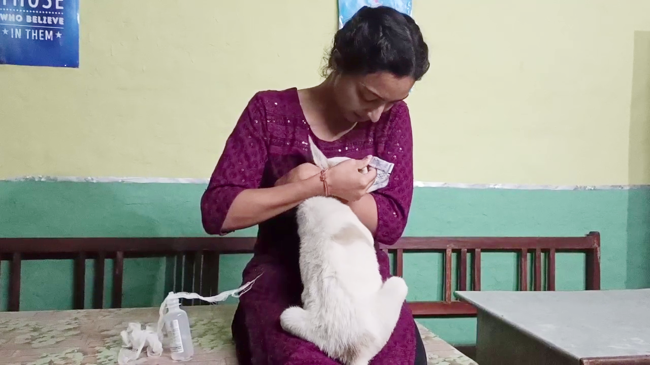 Khushi Nautiyal Doing Treatment of Stray Dogs