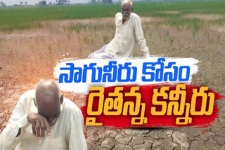 Farmer Crying Due to Dying Crops in AP