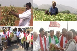 CPI Ramakrishna visits groundnut crop farmers