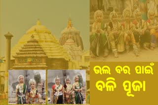 Neta Pila Rituals:ଶ୍ରୀମନ୍ଦିର ସେବାୟତ କୂଳର ନିଆରା ପରମ୍ପରା, ଭଲ ବର ପାଇଁ ବଳି ପୂଜା କରନ୍ତି କୁଆଁରୀ କନ୍ୟା