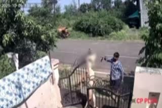 Bhopal trainer kills dog by hanging it from gate, held after scrutinising CCTV footage