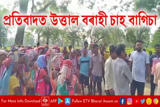 tea workers protest at sonari Borahi Tea Estate