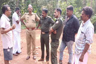 Leopard fear Olavanna  Leopard Presence In Olavanna Kozhikode  Leopard Presence In Olavanna  ഒളവണ്ണയില്‍ വീണ്ടും പുലി പേടി  പുലിയോട് സാമ്യമുള്ള ജീവി  പുലി  കാട്ടുപൂച്ച  മുള്ളന്‍പന്നി  ഒളവണ്ണ