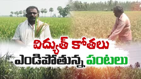 Farmers_Worried_on_Crops_Over_Power_Cuts_in_AP