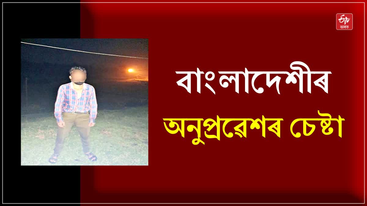 Bangladeshi national apprehended