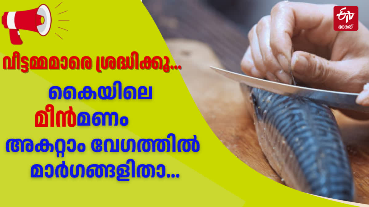 HOW TO REMOVE SMELL OF FISH  മീന്‍ മണം അകറ്റാനുള്ള മാര്‍ഗം  കൈയിലെ മീന്‍ മണം അകറ്റാം സിമ്പിളായി  Way To Remove Fish Smell From Hand