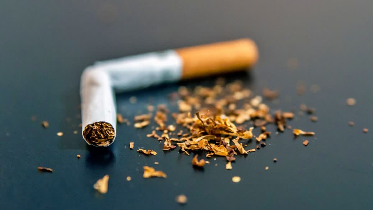 Not only cancer, but tobacco can also cause other deadly diseases