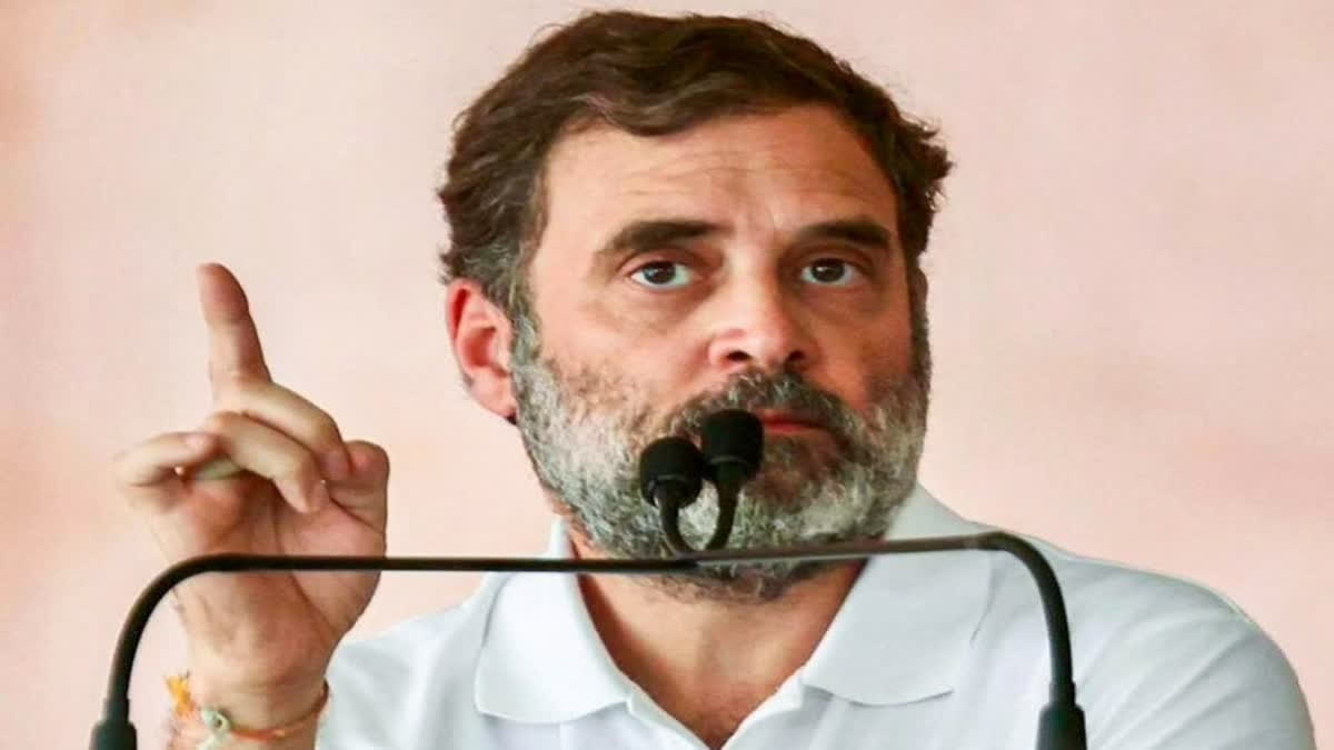 Rahul Gandhi Accuses BJP Of Controlling EC, CBI, ED, Claims Constitution 'Under Attack'