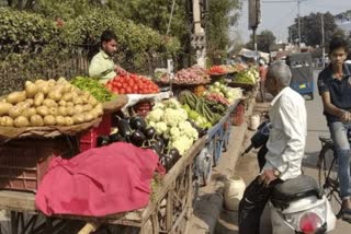 vegetables-onion-potato rates-up-mandi-bhav-price-sabji-sabzi-latest-update-news-hindi