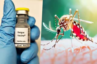 Dengue Vaccine