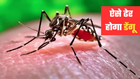 clinical trials of dengue vaccine begin india know how test symptoms treatment mosquito in hindi