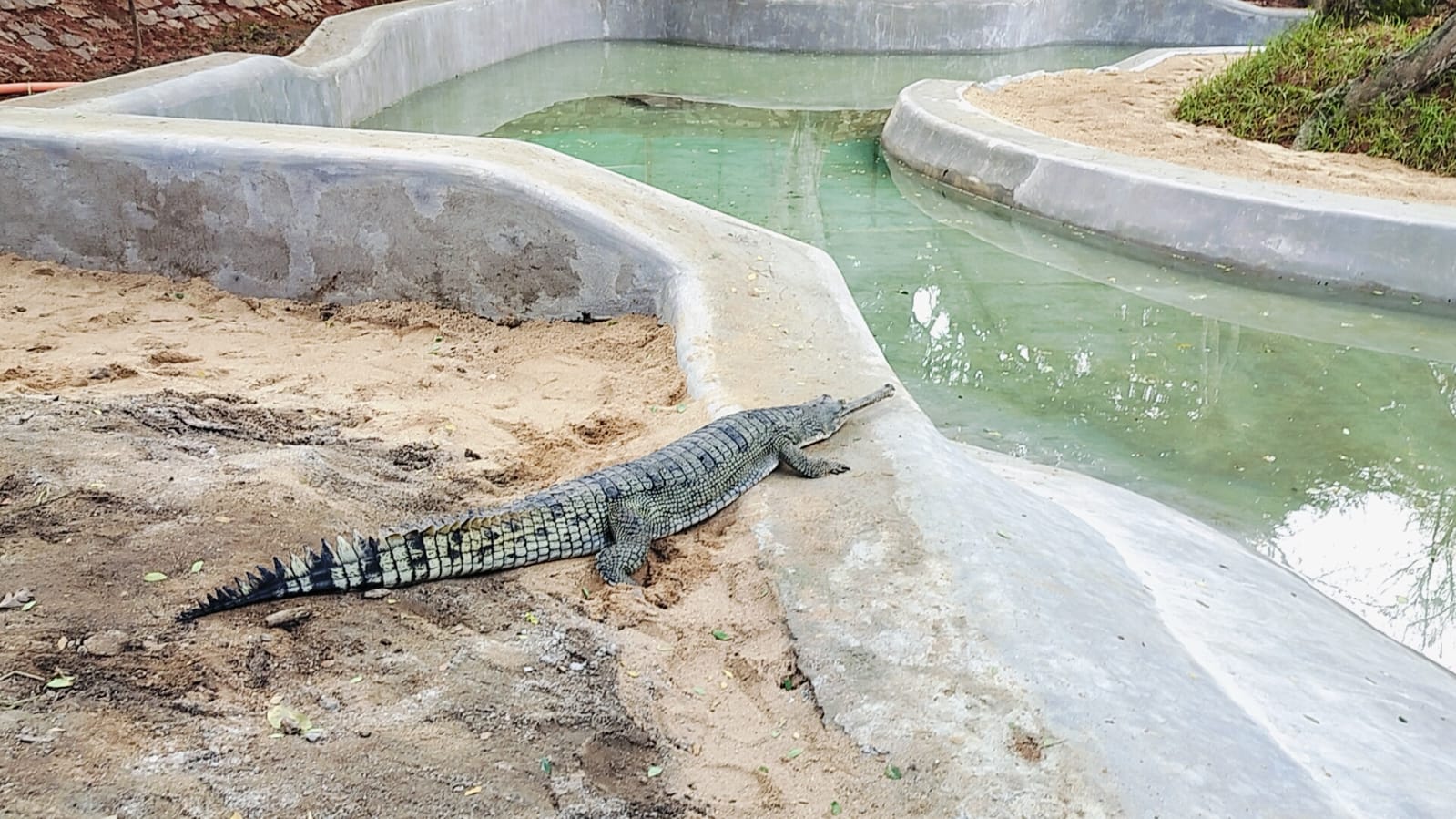 bannerghatta national park