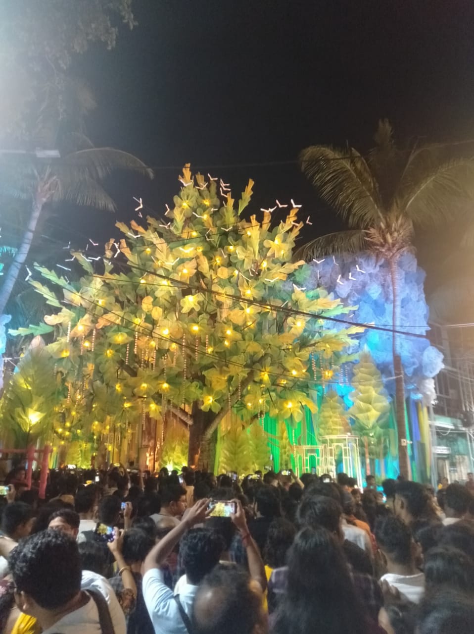 Chandanagar Jagaddhatri Puja