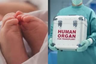 Etv Bharat2 Years Baby Organ Donation In Delhi