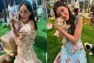 Ananya Panday Latest Photos