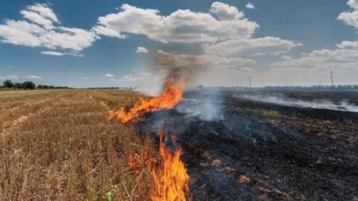 up yogi government big action on stubble parali burning ncr 8 cities.