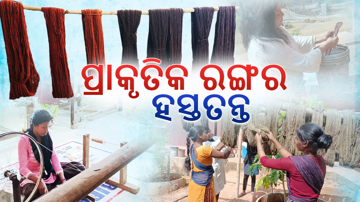 କୋରାପୁଟ ହେବ ପ୍ରାକୃତିକ ରଙ୍ଗରେ ଭରା ହସ୍ତତନ୍ତ ବସ୍ତ୍ରର କେନ୍ଦ୍ରବିନ୍ଦୁ