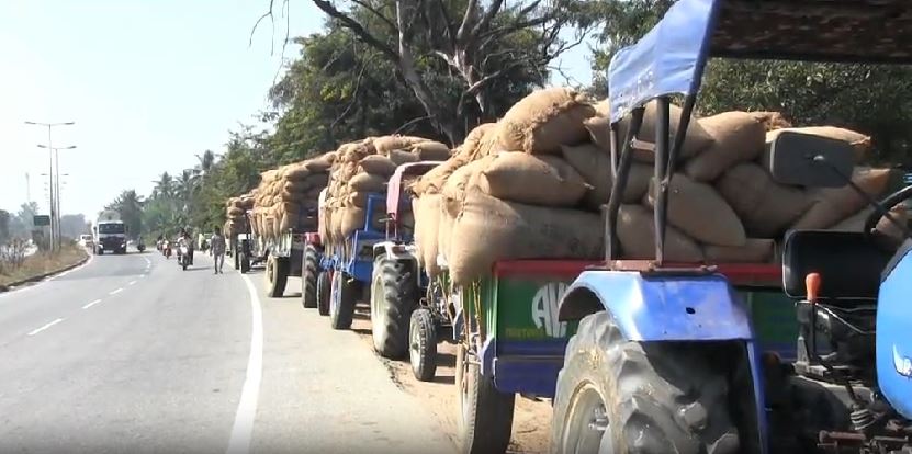 କାଲିଠୁ ଉଠିବ ଧାନ: ବରଗଡରେ ପ୍ରସ୍ତୁତି ଶେଷ