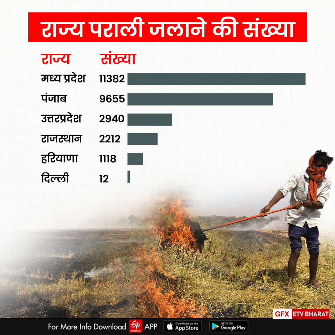 MADHYA PRADESH PARALI BURNING