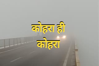 up-weather-forecast-mausam-latest-update-fog alert 19-11-2024.