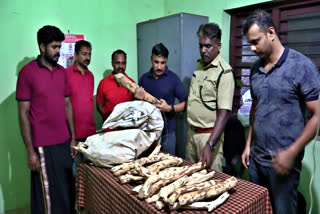 മലപ്പുറത്ത് നിന്ന് ചന്ദനം പിടികൂടി  SANDALWOOD SMUGGLING  ചന്ദന മുട്ടി  MALAPPURAM NEWS