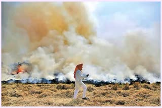 Stubble Burning Issue In Telangana