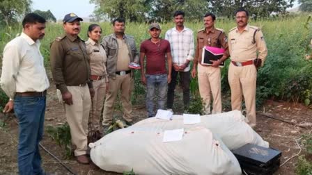 BARWANI POLICE SEIZED GANJA