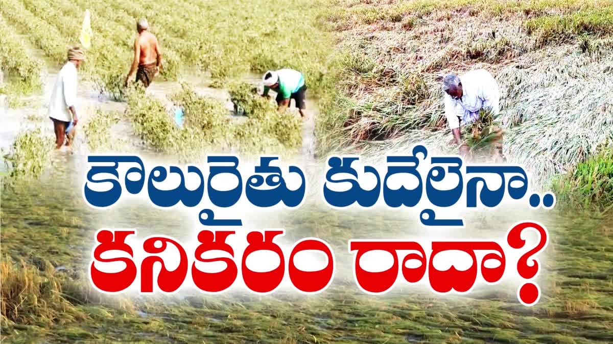 CM_Jagan_Cheating_Tenant_Farmers