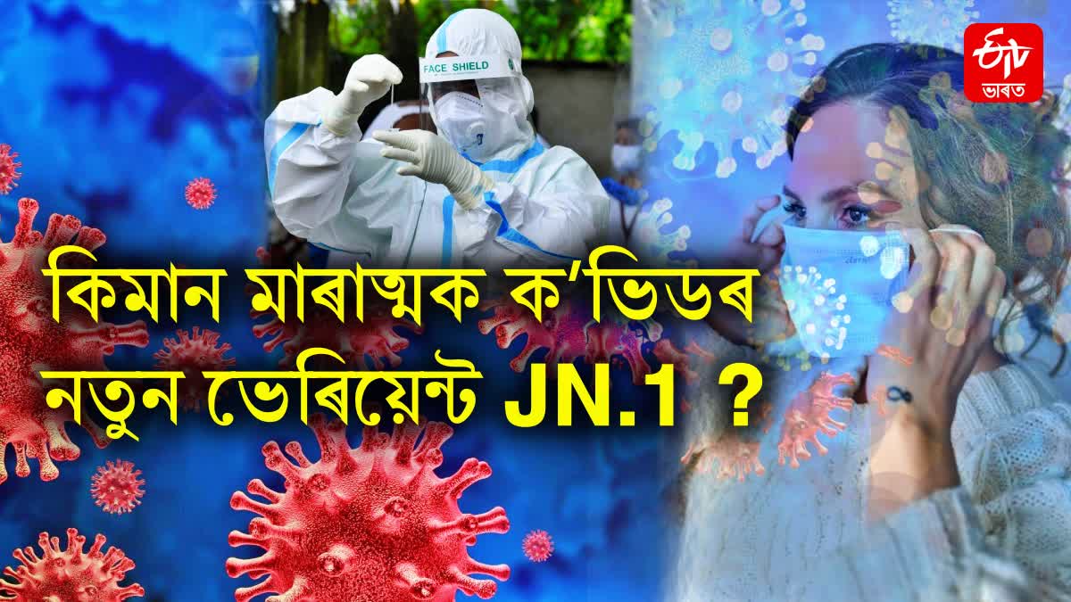 How deadly is the new variant of Corona JN.1 found in India? What are its symptoms, know the preventive measures